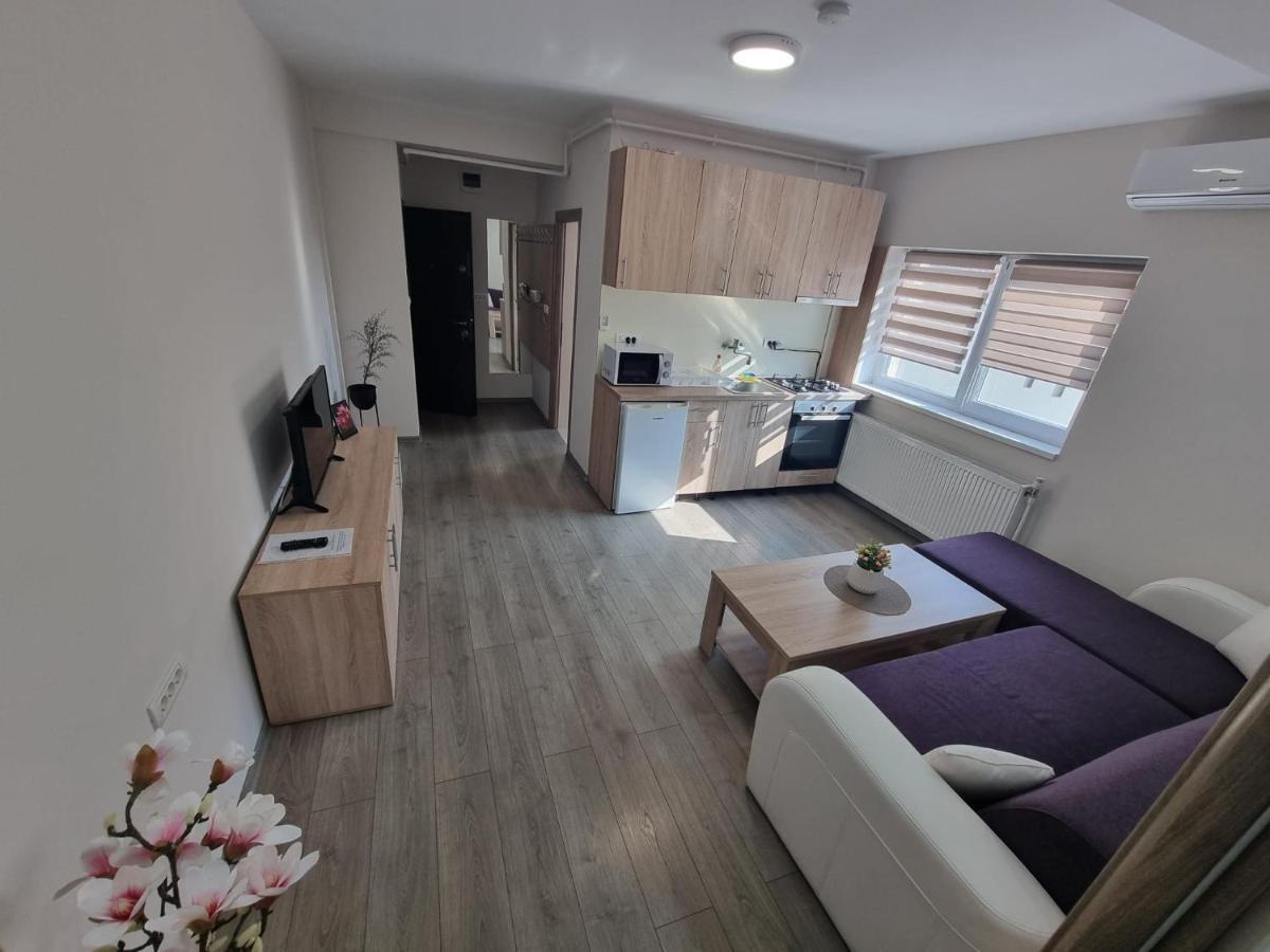 City Premium Apartments Timisoara Exterior photo